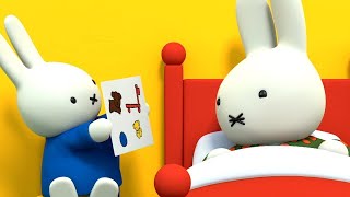 Miffy | Tries To Make Aunt Alice Feel Better! | WildBrain Cartoons