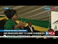 Race to ANC elective conference builds up
