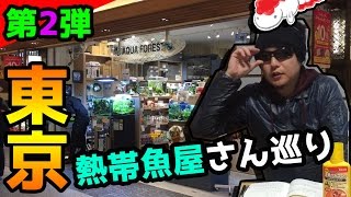 今回はアクアフォレストさんアクアテイク-Eさんに行ってきた！熱帯魚屋さん巡り第２弾です！