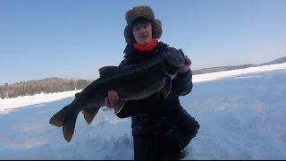 Huge 26 Pound Lake Trout!!!