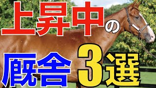 【有望】絶対に知っておきたい厩舎3選！若手調教師が熱い。【一口馬主】