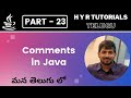 P23 - Comments in Java | Core Java | Java Programming |