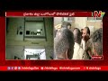 high tension in ongole l balineni srinivasa reddy vs damacharla janardhan tdp vs ycp ntv