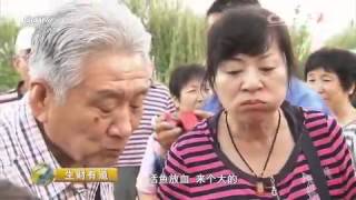 20151208 生财有道  生态中国系列（边关行）：赫哲族人的鱼生意