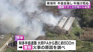 飼われていた牛数十頭が焼け死んだか…牛舎や倉庫などが燃える火事 強風で近くの竹林にも燃え広がる