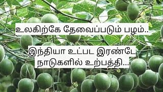 போட்டியில்லாத ஏற்றுமதி வாய்ப்பு #ஏற்றுமதி #ஏற்றுமதிதொழில்