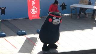 20140209大阪くまモンファン感謝祭　くまモンスポーツテスト・反復横とび