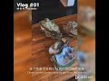 vlog 01 解锁英国新玩法—挖生蚝