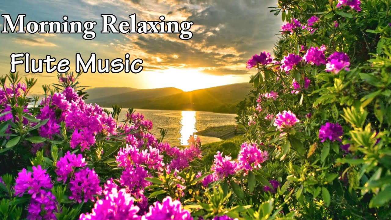 Morning Relaxing Music Flute Music For Positive Energy Meditation