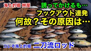 【海上釣堀 辨屋】誘ってかけるも…フックアウト連発!!!!～何故？フックアウトの原因＆海上釣堀二刀流～@p.pochisan