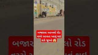 બજારમા આખલો રોડ વચ્ચે આવતા આવું થઇ શકે જુઓ 😱 #trending #viral #Reels #funny