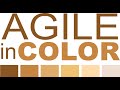 Agile In Color: Agile 2021 Submission Process with Dana Pylayeva