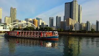 08-12-2016 滨离宫恩赐庭园 Hamarikyu Gardens 之《Tokyo Cruise 水上巴士》