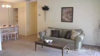 Brandon Oaks Apartments in Brandon, FL - ForRent.com