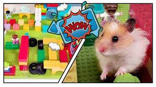 Lego hamster maze  - 🏆 obstacle course |stop motion|