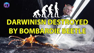 Incredible Creatures That Defy Evolution Darwinism Destroyed by Bombardier Beetle - Dr Jobe Martin