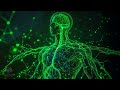 528Hz - Whole Body Regeneration - Full Body Healing | Emotional & Physical Healing #8