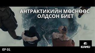 МӨСӨН ДООРООС ХАРИЙН БИЕТ ОЛООД ГАРГААД ИРТЭЛ ..