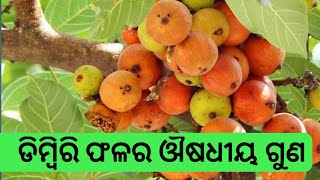 ଡିମ୍ବିରି ଫଳର ଔଷଧୀୟ ଗୁଣ || Tarang Health Care