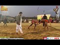 tayyab pehlwan jhang vs malo pehlwan lahoria rustam e punjab dangal 2024