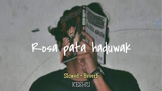 Rosa Pata Haduwak Genalla- Slowed + Reverb (Keshu Beats)