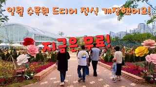 One round of the Ilwol Arboretum / Official Opening / Admission is free now