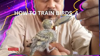 How to train birds 5