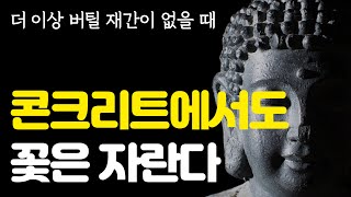 그냥 모든 걸 다 포기 하고 싶을 때 | 희망은 원래 소리가 없다 | 석가모니말씀 | 인생 조언 | 불교 명언 | ASMR | 힐링 | 지혜 | 낭독