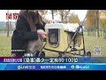 花逾3千元買寵物推車 飼主控詐欺 等7個月拿嘸貨｜三立新聞網 setn.com