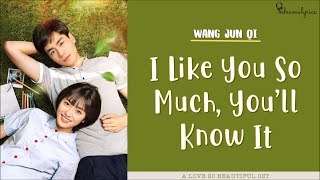 [LYRICS] Wang Jun Qi (王俊琪) - I Like You So Much, You'll Know It (我多喜歡你，你會知道) | 致我们单纯的小美好 OST