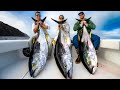 1,000lbs of Most EXPENSIVE Tuna! Catch Clean Cook (Giant Bluefin tuna)