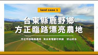 🌾台東縣鹿野鄉方正臨路漂亮農地｜有水有電都可申請｜好山好水｜台東法拍｜特定農業區｜ 農牧用地