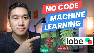 Building a No-Code Machine Learning Application (for Computer Vision) with Microsoft's Lobe