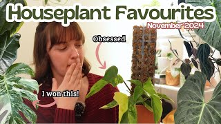 Top 10 Current Favourite Houseplants 🌿 November 2024 | Philodendron, Alocasia, Monstera + More!