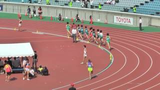 H28　関カレ　2部　男子1500m　決勝