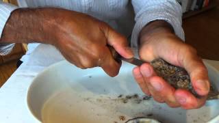 Oyster Shucking by Clifford Wright II