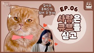 [고냥이 활용법] 고양이 두고 출장 갈 때 꿀팁 - EP.06│모카