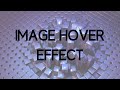 How to add Image Hover Effects to your Wordpress Website