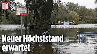 BRANDENBURG: Hochwasser an der Oder steigt immer weiter