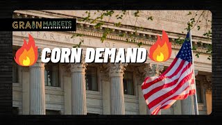 USDA Finally Admits It - Corn Demand is STRONG