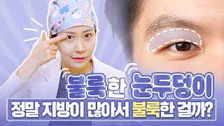 불룩한 눈두덩이 과연 지방때문 일까요? 불룩한 눈두덩이 해결방법