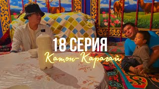 КОРЕЕЦ В КАТОН-КАРАГАЕ🇰🇿 юрта, гостеприимные алтайские казахи, едем на Рахмановские ключи