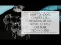 How to Model Cancer Cell Invasion Using Novel 3D Cell Culture Technology | REPROCELL (Alvetex)