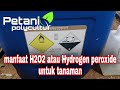 manfaat H2O2 atau Hydrogen Peroxide untuk tanaman