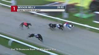 2021 SUSSEX CUP - HEAT 2 - T1 BOCKOS BELLY