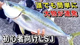 サーフや堤防で簡単に釣れるオススメのルアー釣り【初心者向け】ライトショアジギング