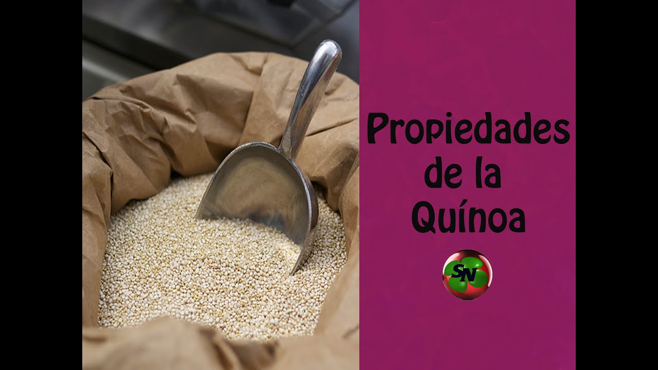 Propiedades De La Quínoa - Beneficios De La Quinoa - YouTube