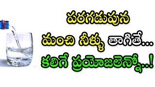 పరగడుపున మంచి నీళ్ళు తాగితే... కలిగే ప్రయోజలెన్నో..! Drinking Water Early Morning