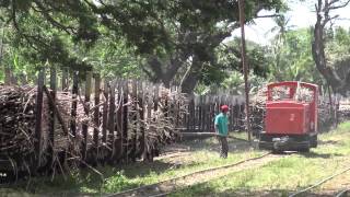 Pole Shunting at Asembagus Mill