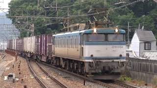 3099レ　EF81-454牽引(2010-06-06)